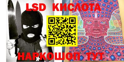 прущие крисы Камышлов