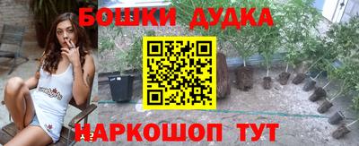СК Кандалакша