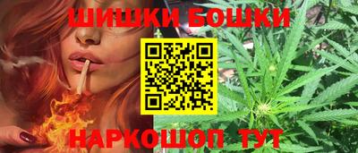 прущие крисы Камышлов