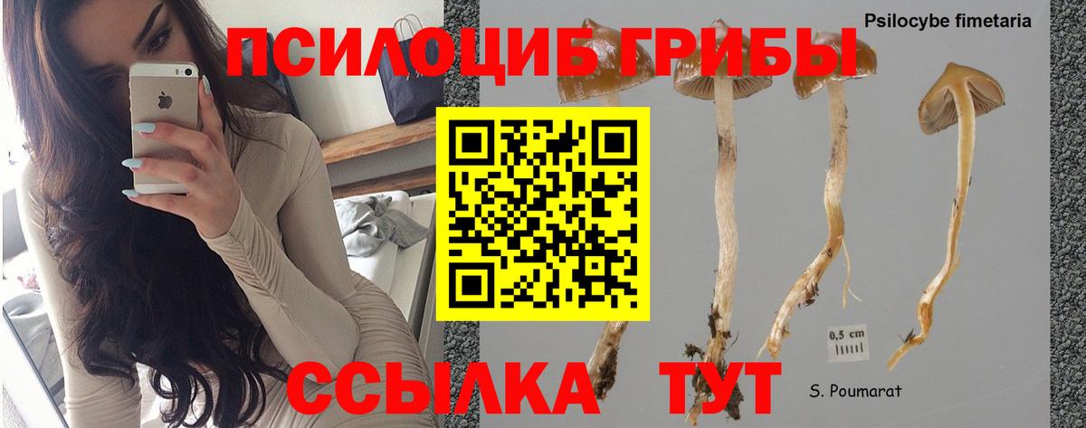Псилоцибиновые грибы Cubensis  Галлюциногенные грибы Magic Shrooms  Воронеж  Вход с VPN 
